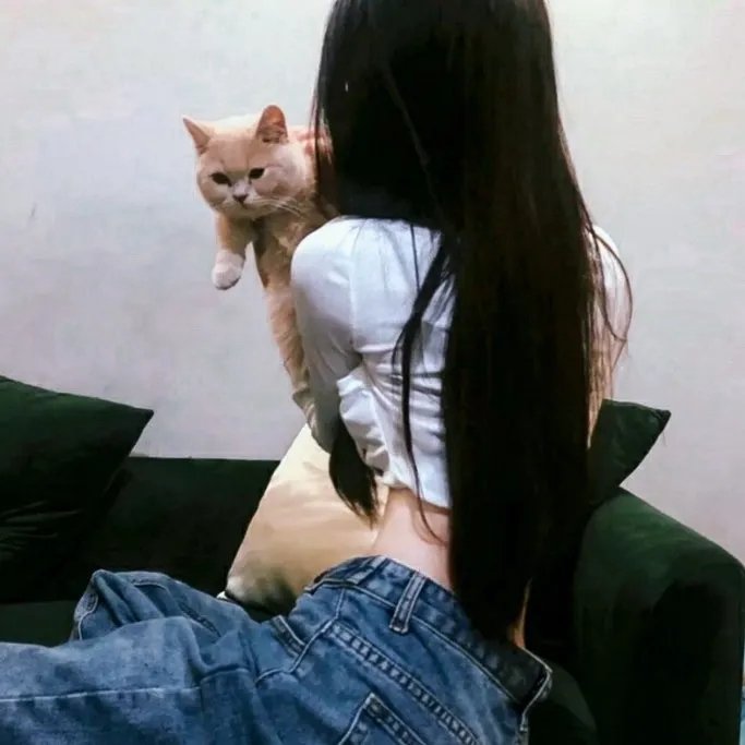 猫胆虫威大电影